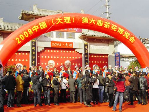 中国第六届茶花博览会在大理开幕